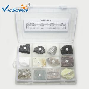 Quality Professional Mineral And Rock Specimens Metamorphic Rock Samples wholesale