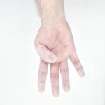 Disposable Vinyl Gloves