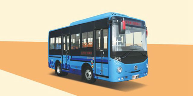 Automatic Transmission 10/19 Seats LHD RHD Electric Mini Bus for City Public Transport