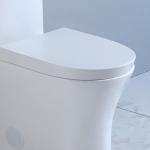 MAP1000 Chair Height One Piece Skirted Toilets With Concealed Trapways Siphon