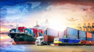 Quality Professional FBA Shipping To Canada USA DDU DDP Rates Sea Freight Forwarder wholesale