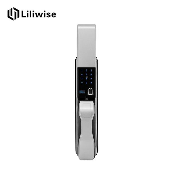 Cheap Stainless Automatic Door Lock Biometric Recognition Semiconductor OLED Display for sale