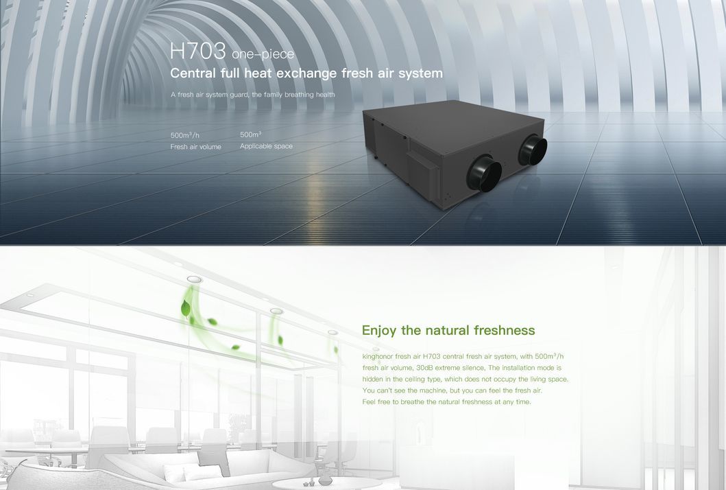 Professional Ventilation System Air Purification Machine HVAC