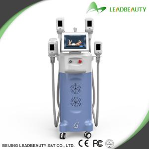Quality Cryolipoltsis weight loss machine with Kryolipolysie/Vacuum/LED Technology wholesale