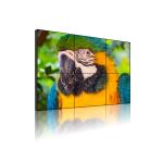 55" LG 3x3 4X4 FHD LCD Advertising Display Panel CCTV System Screens