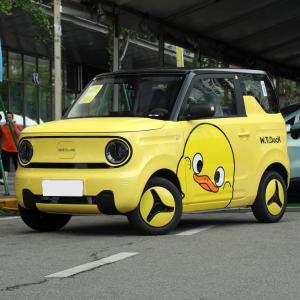 Quality GEELY Panda Chinese Mini Electric Car EV Top Speed 100km/H For Urban Transportation wholesale