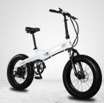 Lithium Battery 4.0 Fat Tire 500w Folding Electric Bike