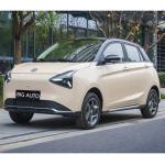 Luxurious Interior High End Pure Electric Car Joy 01 Max. Speed 100 Km/h