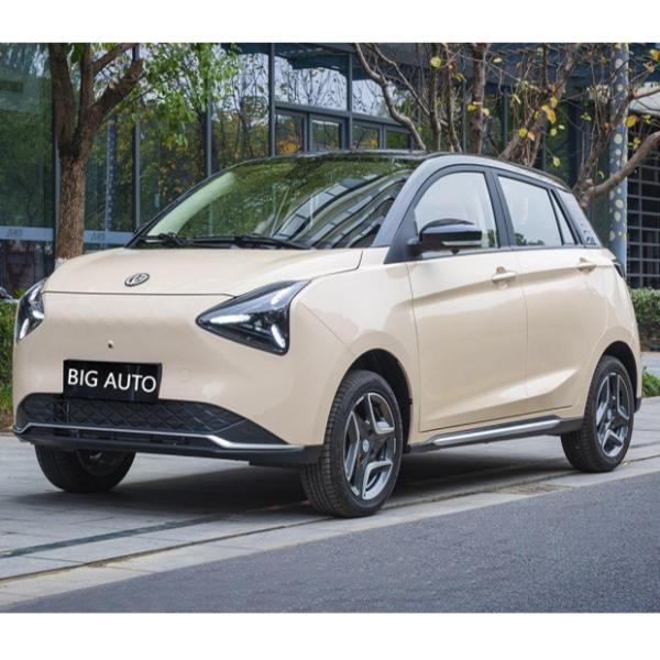 Big Capacity Pure Electric Car Joy 01 High Speed Electric Car Suitable for