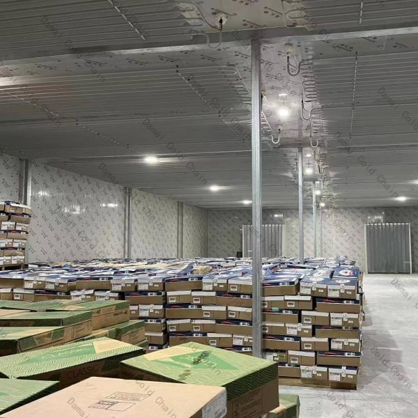 Fruit / Vegetable Freezer Cold Room Cold Storage Units For Fresh Keeping /