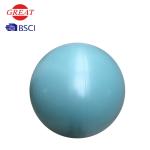 Customized Logo Anti Burst Gym Ball For Fitness Environmentally Friendly