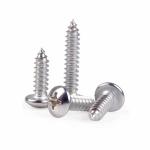 Stainless Steel Right Hand Self Tapping Screws Zinc Plated Finish