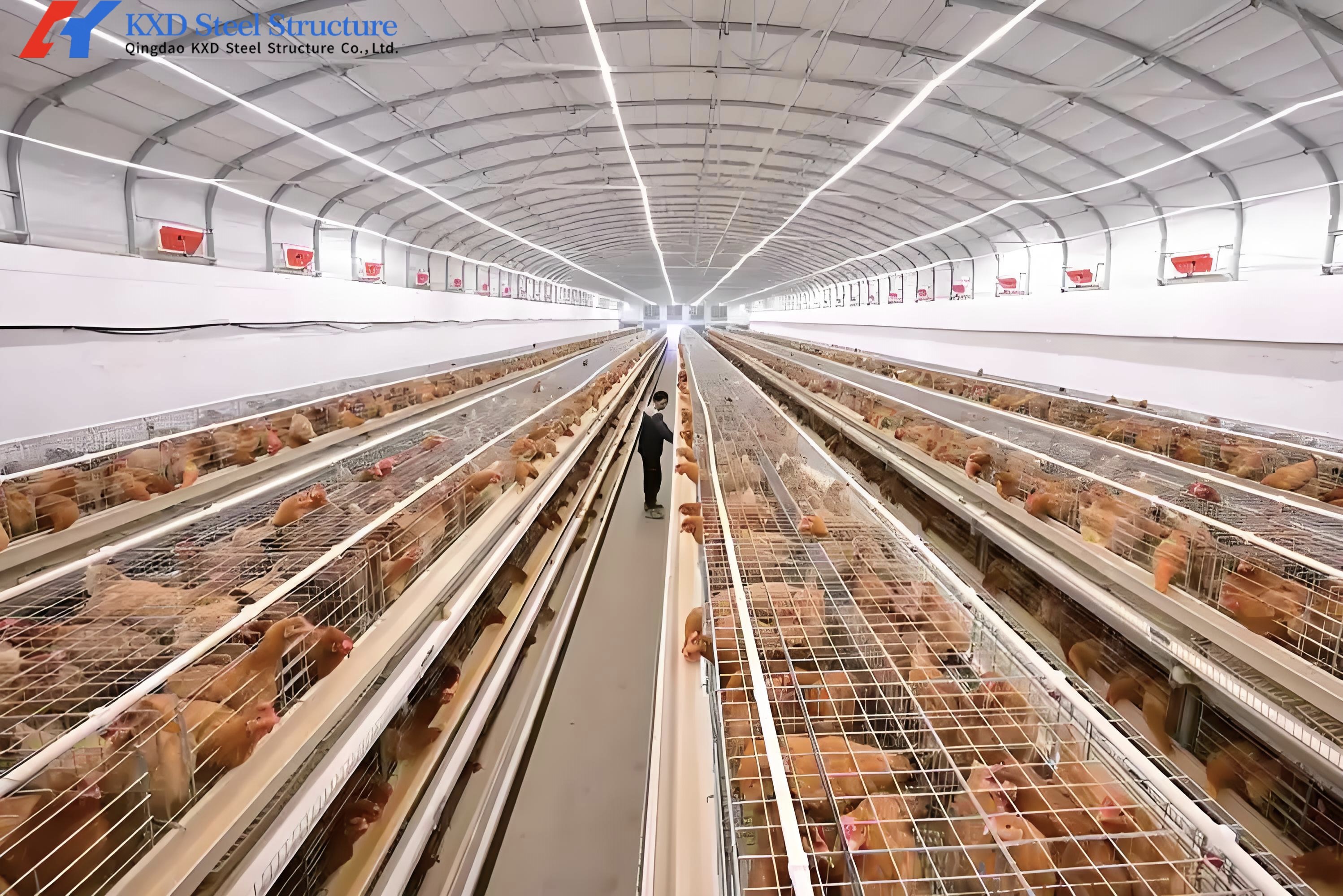 Broiler Cages for 1000 Birds Broiler Chicken Cage Poultry Transport Coop