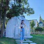 PC Aluminum Geodesic Camping Dome Transparent Dome Tent Durable Construction