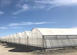 Quality Smart Control Plastic Film Greenhouse , Flower / Vegetable Agricultural Greenhouse wholesale