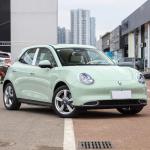 Hot Mini ORA EV Car Energy Vehicles 2023 ORA Good Cat Electric Car with 170 HP