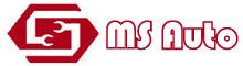 China Shenzhen MS Auto Technology Limited logo