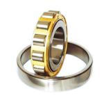 C4 C5 V3 Open FAG Roller Bearing Japan Stainless Steel Bearing NU310ECP