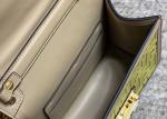 Baguette Bag Classic Luxury Cross-Body Bag Embroider f letters Pattern Underarm