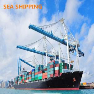 Quality One Stop Service International Sea Shipping To USA wholesale