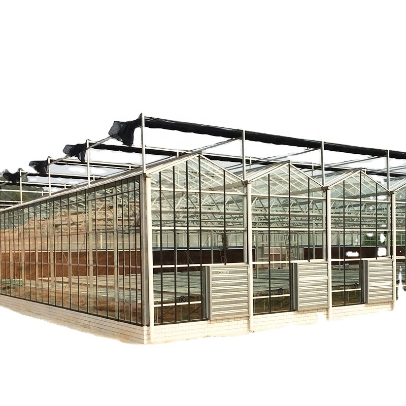 Large Glass Greenhouse Mushroom Aeroponic Tower Garden for Eco Restaurant Instruction