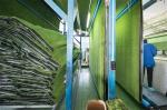 Landscape Indoor Artificial Grass Paintball Fields