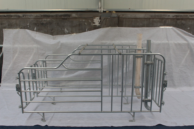 Custom Made Swine Farrowing Crates Good Heat Preservation Acid Resistance