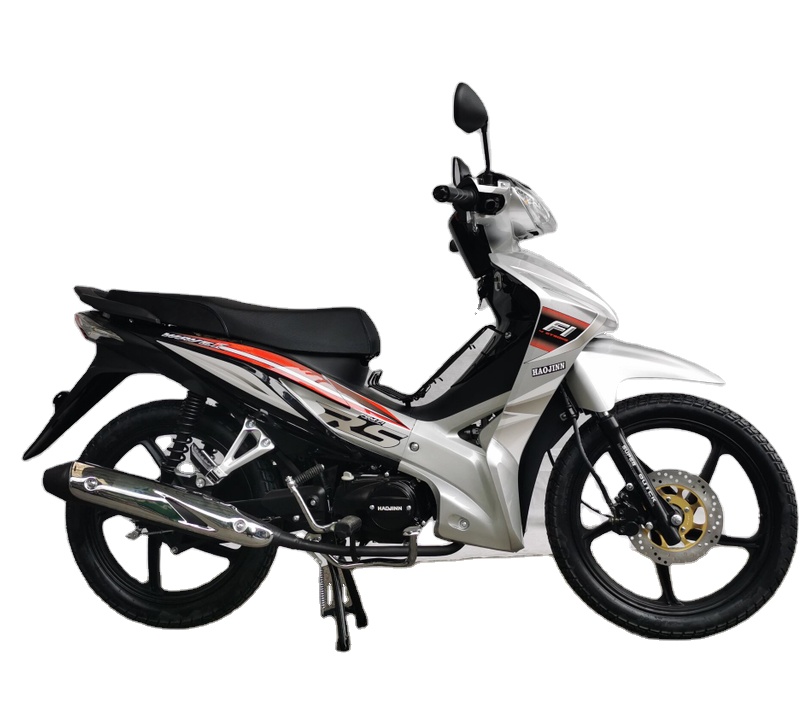 EPA gas oem EEC 4 stroke Lifan ZS engine Wholesale Cheap ZS Engine 110CC Motorcycle cheap import motorcycle Cub Motorcyc