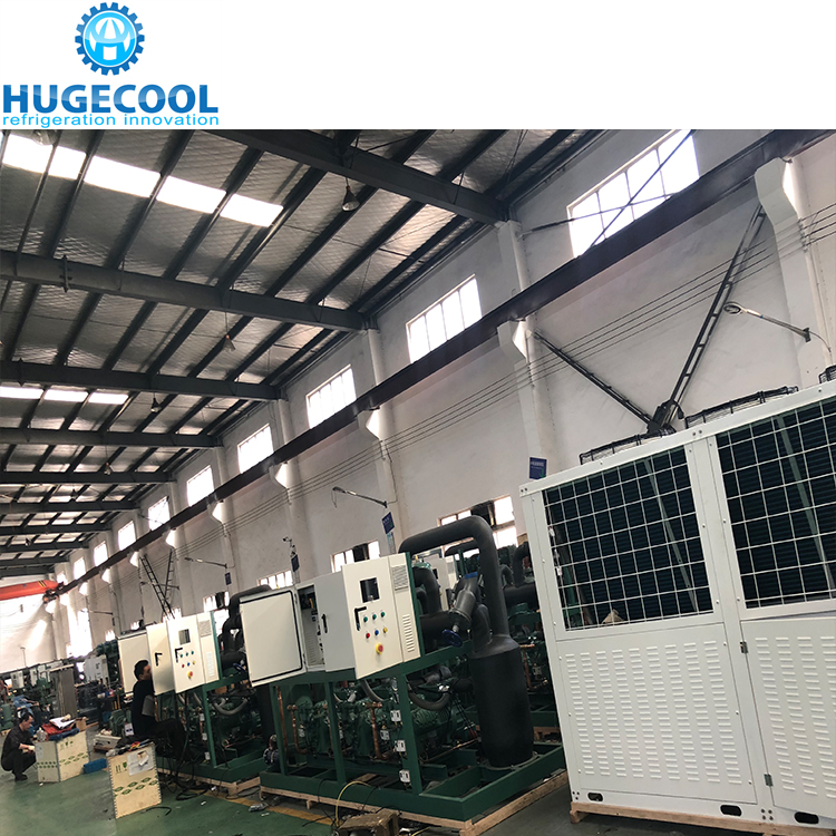 Copeland Cold Room Compressor Condensing Unit with Lowest Price