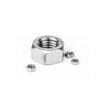 Ss304 Hex Head Nut Stainless Steel ANSIB18.2.2 Grade 4.8 Nut for Heavy Duty