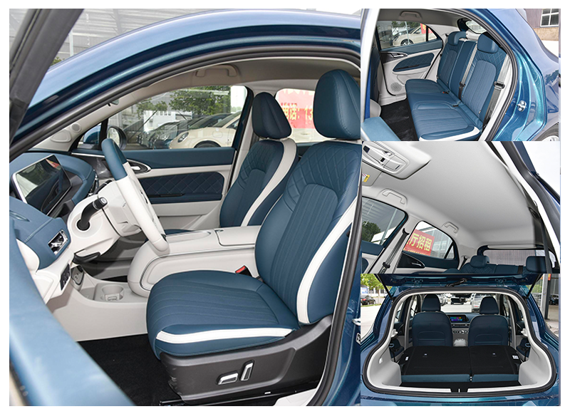 ORA Good Cat Pure Electric 5 Seater Hatchback Cars High Class And Exquisite