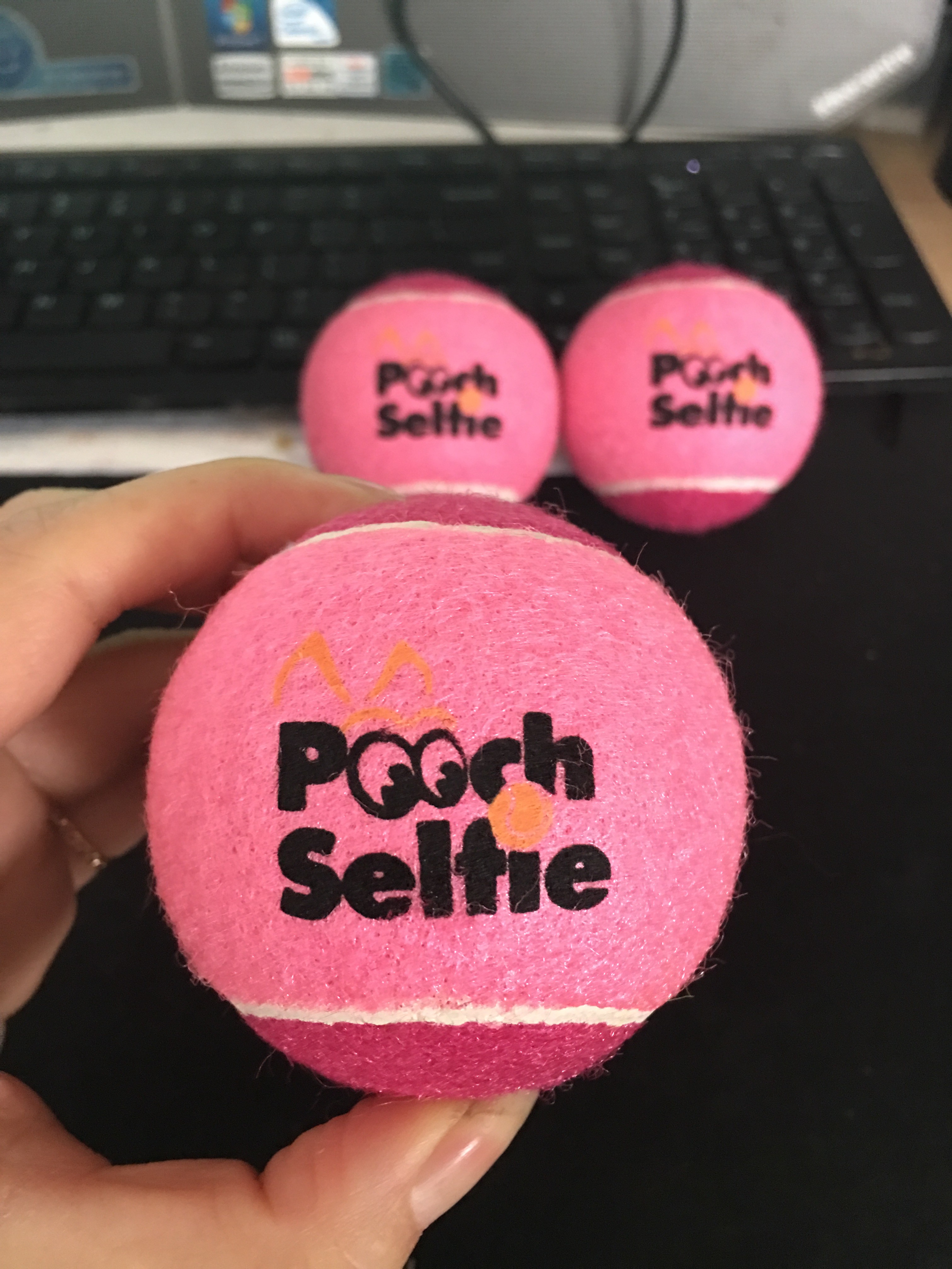 dog training tennis ball toy