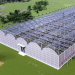 Customized Request Origin Double Arch Beam Greenhouse for Vegetables 20GP/40GP