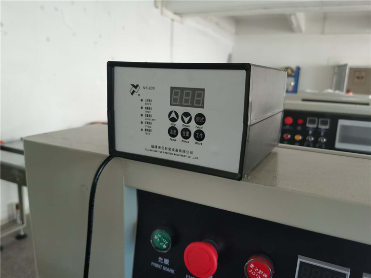 OEM Fruit Vegetable Packing Machine 600mm 100bags/min Pillow