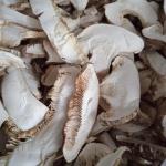 500g Food Family Pack Dried Sliced Shiitake Mushrooms MOQ5CTN