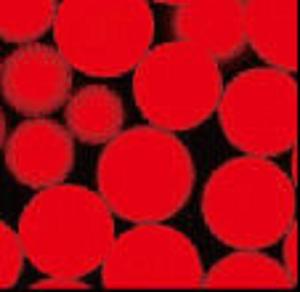 Quality N - Hydroxy Succinimide Nanoparticle NHS Activated Magnetic Beads 30 - 150 μm 1 mL wholesale
