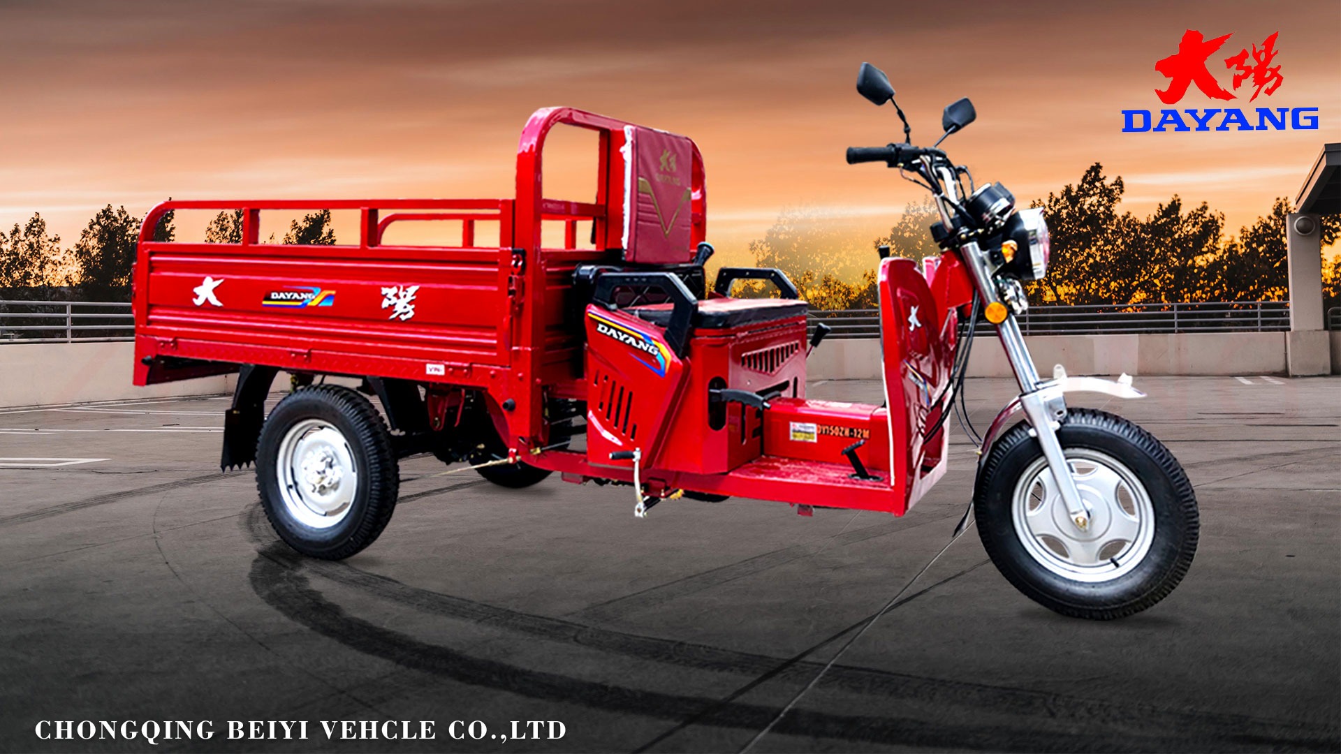 DAYANG Tricycle Motorcycle Cargo with 110cc Air Cooled Engine 3 Wheels and 4.0-12 Tires