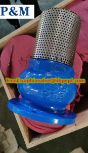 Quality flanged foot valve size DN150 pressure PN16 material GGG50 wholesale