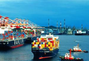 Quality International FBA Shipping Sea Freight Forwarders Agent To America / Canada wholesale