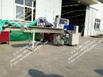 304 Stainless Stel Plastic Bag Packaging Machine , 2.4kw Horizontal Pillow