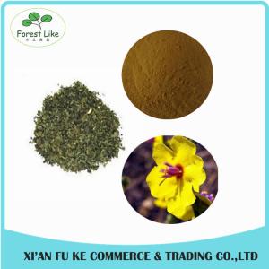 Quality 100% Natural Mullein Leaf Extract Powder 10 : 1 wholesale