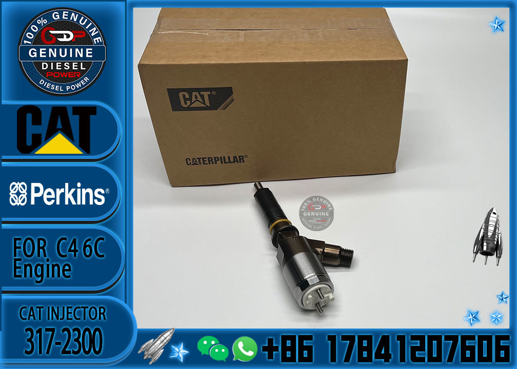 Cat 320d Diesel Inyector Common Rail Fuel Injector 3172300 317-2300 2645A717 for CATERPILLAR C6.4 C6.6 Excavator