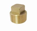 Square Head 1/2Inch NPT Brass Male Plug Fittings For Boat OEM Services