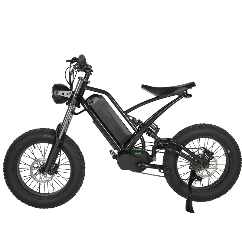 Style 48v1000w High Power Electric Mountain Bike for Adults Alloy Frame Fat Tire Ebike