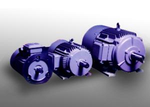 Quality Three Phase IP54 High Efficiency Permanent Magnet Motor wholesale