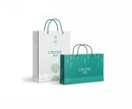 shopping bags printing, making brand bags, big size bag printing