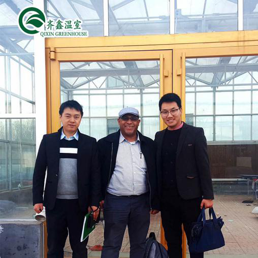 Commercial Aquaponic Aquarium System Prefabricated PO Greenhouses for Vegetables