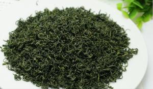 Quality Longjing 43 fragrant tea high chestnut tea biluochun songyang rizhao green tea wholesale