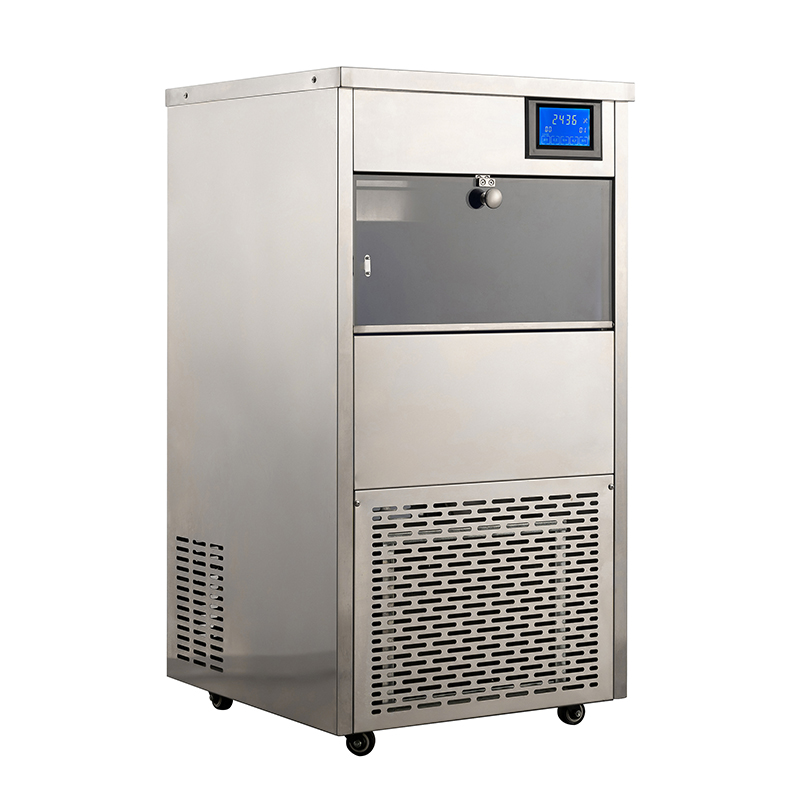 R134a Refrigerant 220V LZ-160 Snowflake Ice Making Machine for Commercial in Market