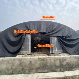 Quality BAOLIDA Economic Agricultural Black Shade Net Tunnel Film Greenhouse For Mushroom wholesale